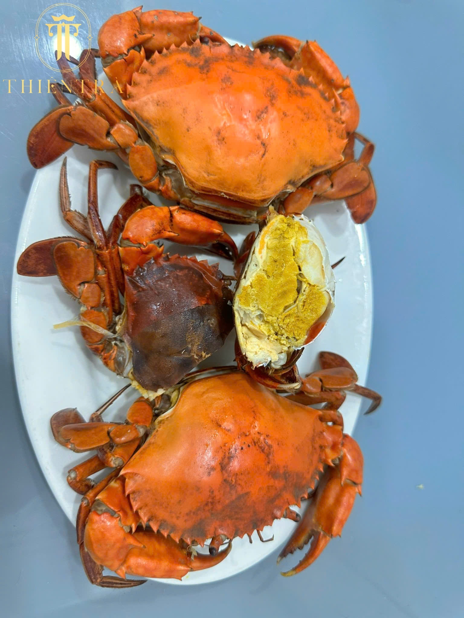 Cua Cốm 2 Da Cà Mau - Ảnh 5