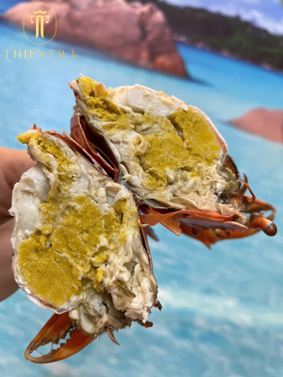 Cua Cốm 2 Da Cà Mau - Ảnh 8