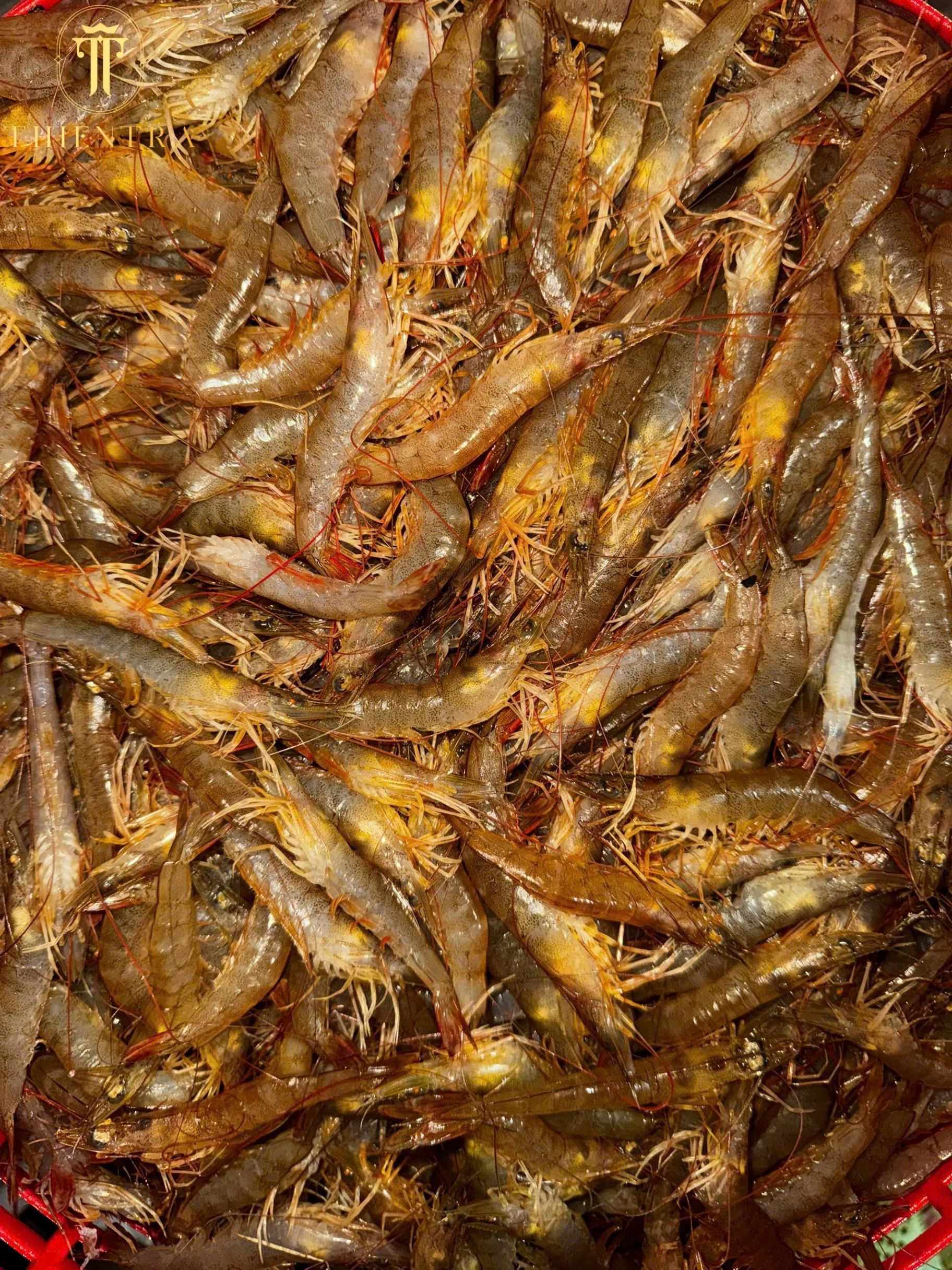 Tôm Khô Đất Cà Mau – Đặc Biệt - Ảnh 6