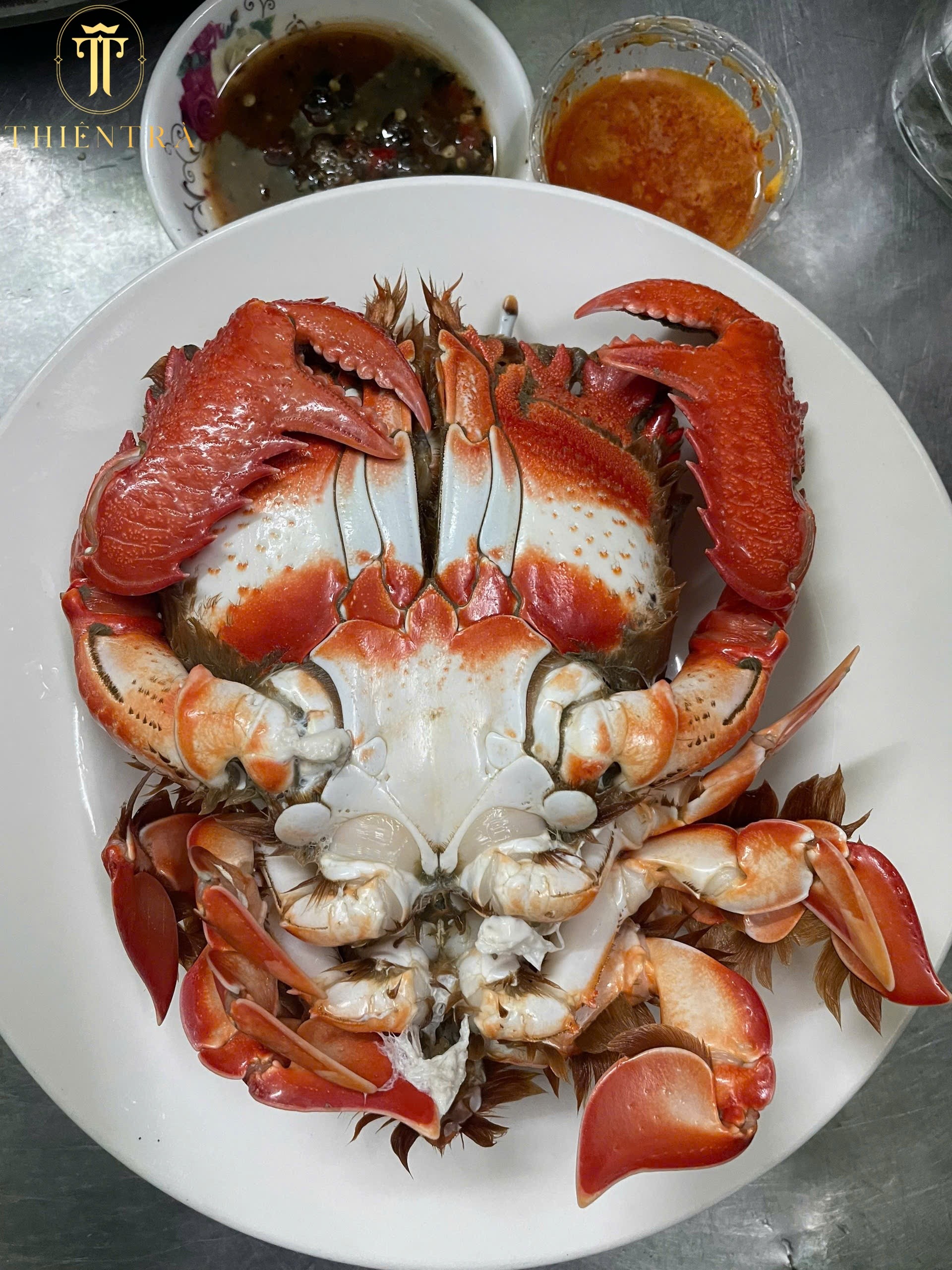 Cua Huỳnh Đế - Ảnh 6