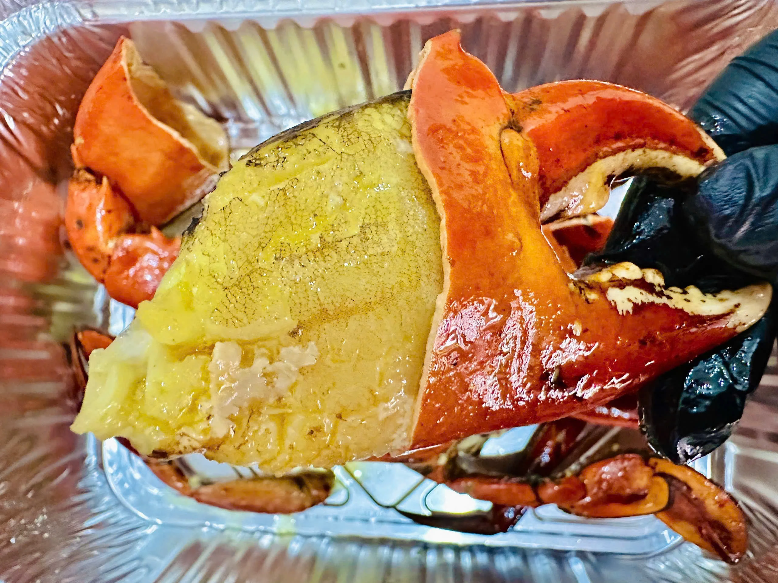 Cua Thịt Cà Mau - Ảnh 4