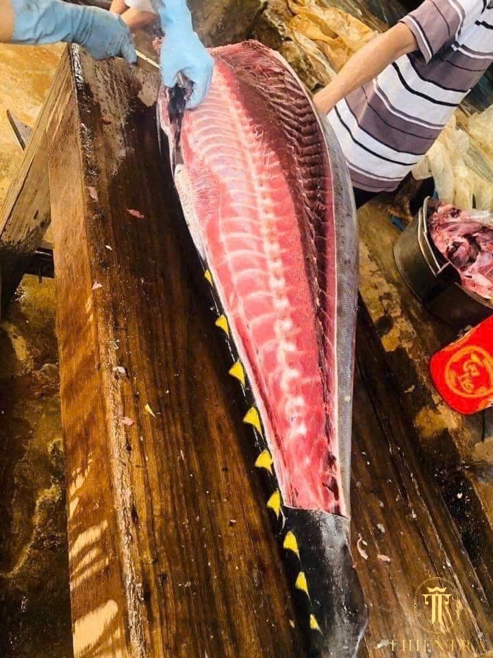 Phile Cá Ngừ Đại Dương - Ảnh 7