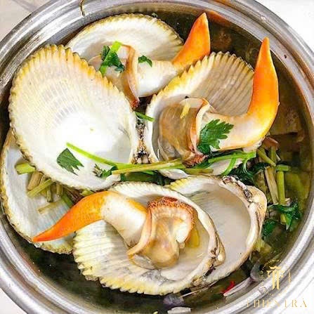 Sò Dương - Ảnh 2