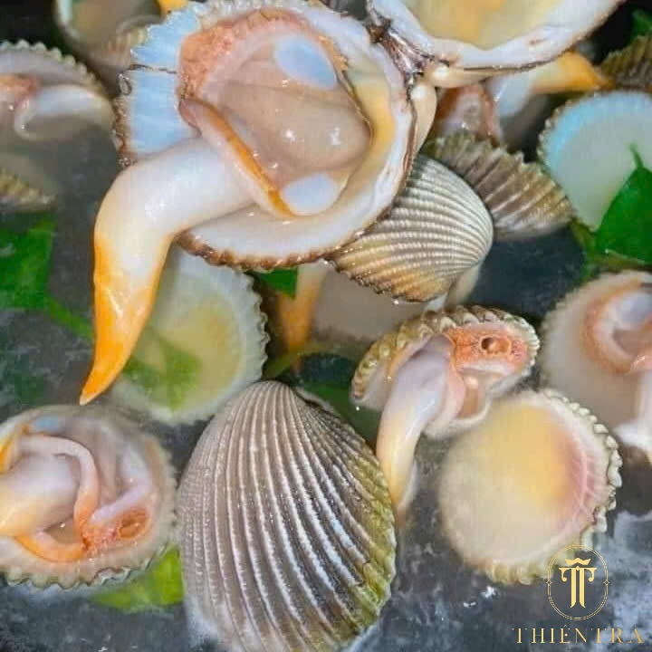 Sò Dương - Ảnh 4