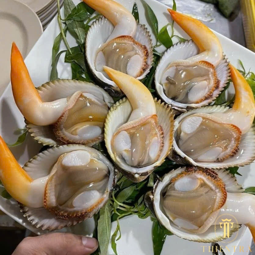 Sò Dương - Ảnh 5