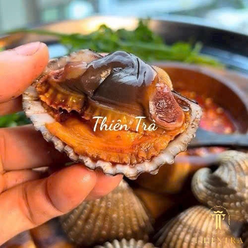 Sò Huyết - Ảnh 2