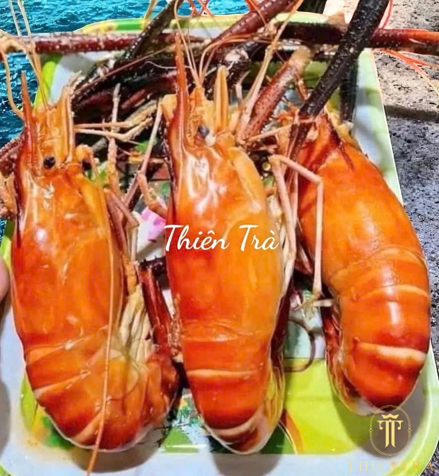 Tôm Càng Xanh - Ảnh 2