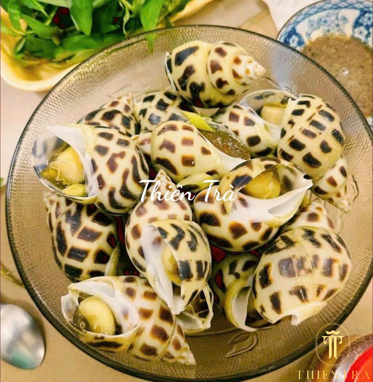 Ốc Hương Cồ Thiên Nhiên - Ảnh 3