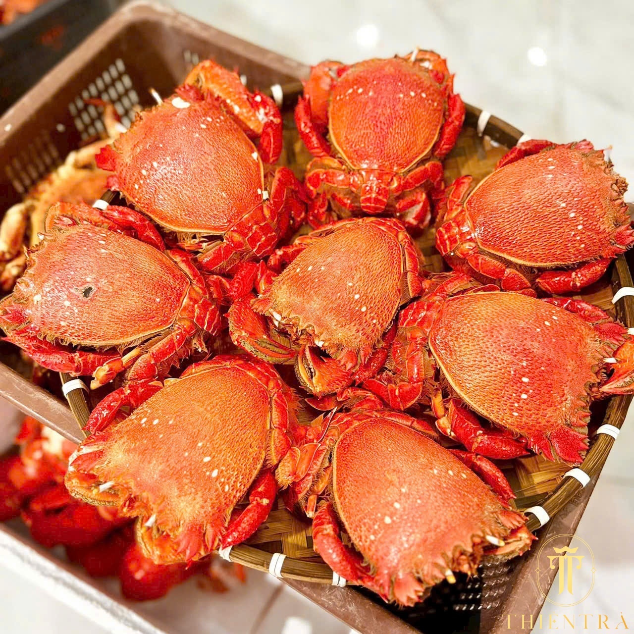 Cua Huỳnh Đế - Ảnh 3